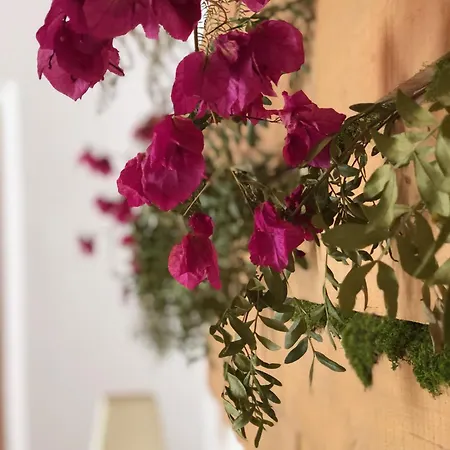 Bauernhof Casal Da Serrana