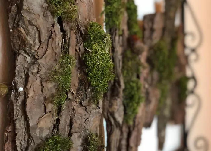 Casal Da Serrana Óbidos