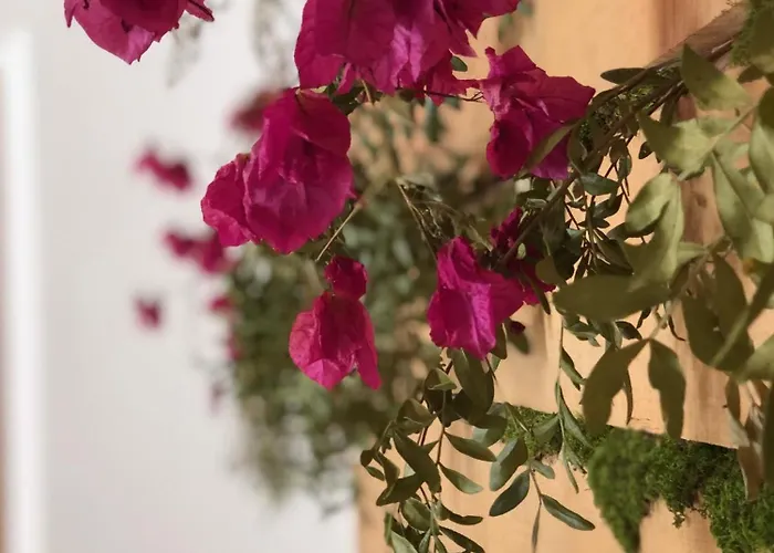 Agroturismo Casal Da Serrana